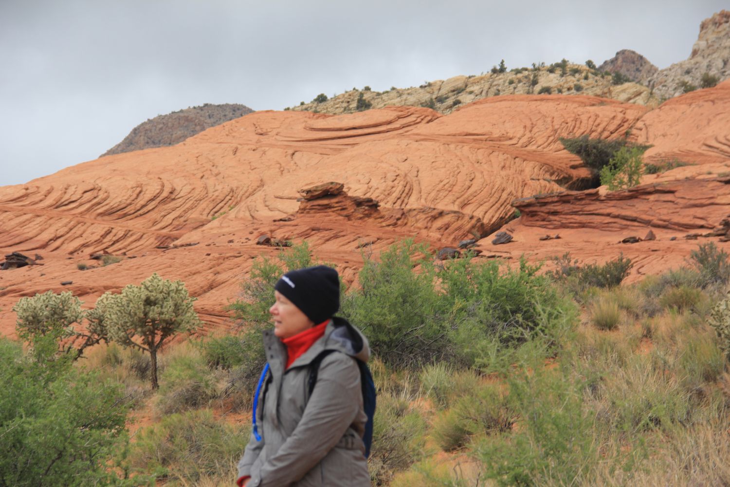 Snow Canyon State Park 